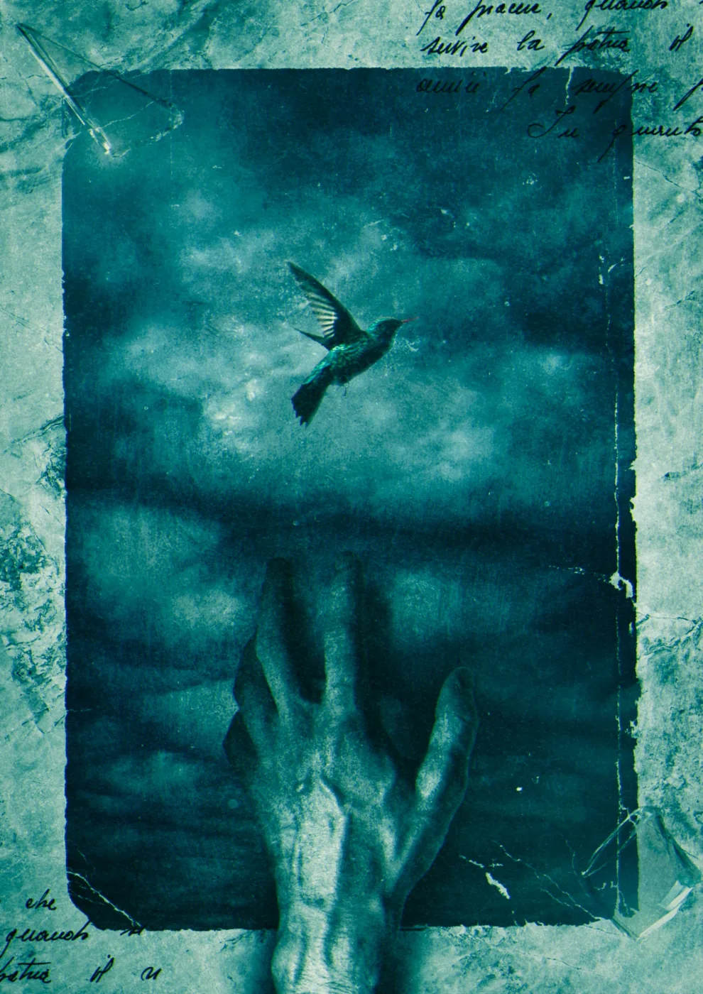 A hand reaches toward a bird in a turquoise sky, framed by torn paper and handwriting.